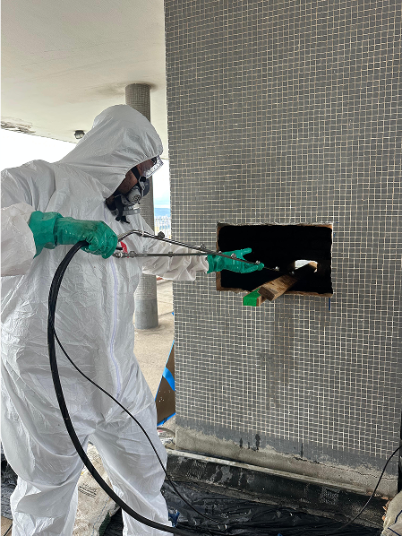 WhatsApp Image 2025-05-31 at 06.15.16